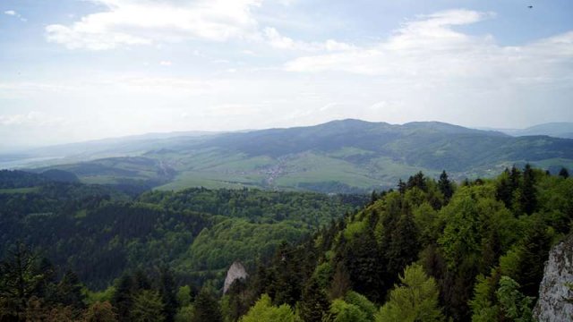 dsc06388