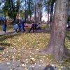 wp_20141104_007
