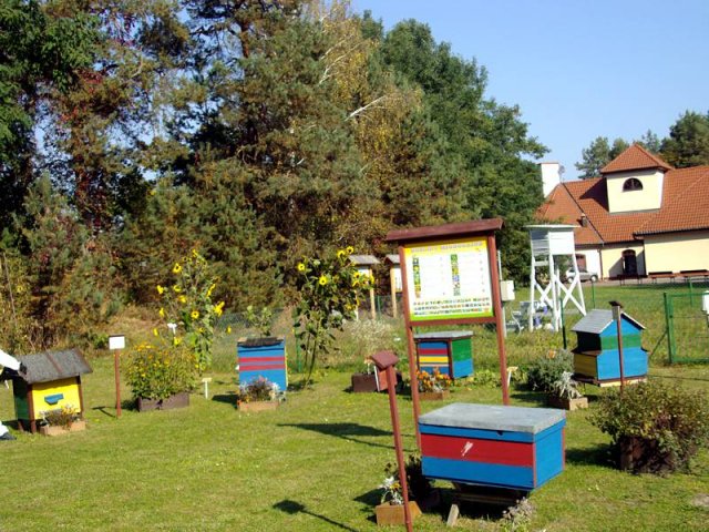 dsc08006