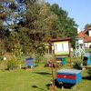 dsc08006
