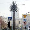 dsc08097