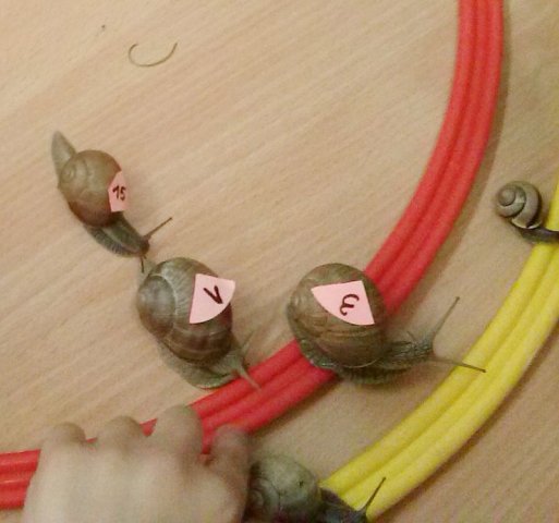 cam00649