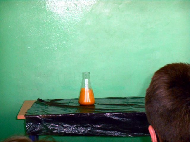 DSCN0051