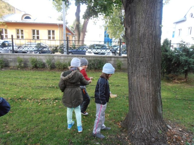 park