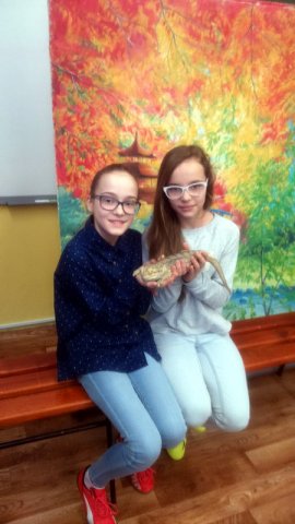 DSC_1793