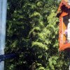 b061